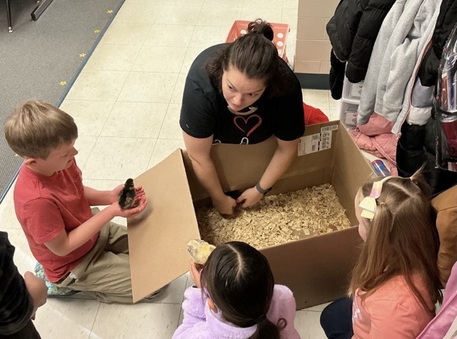 students holding chicks