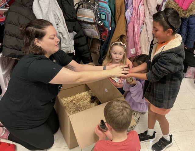 students holding chicks