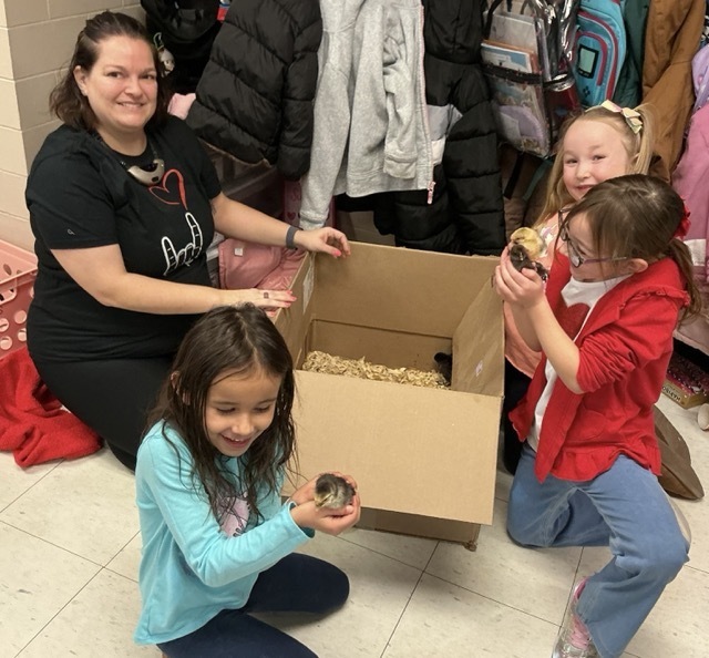 students holding chicks