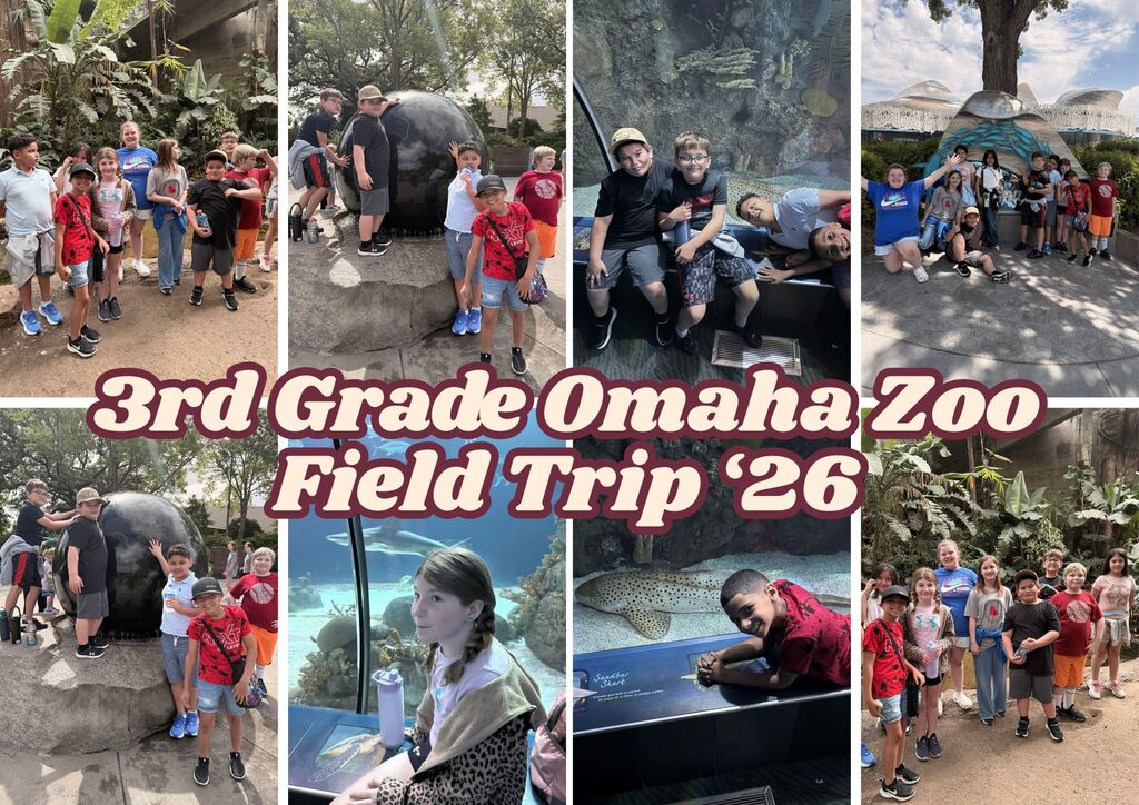 3rd grade zoo collage