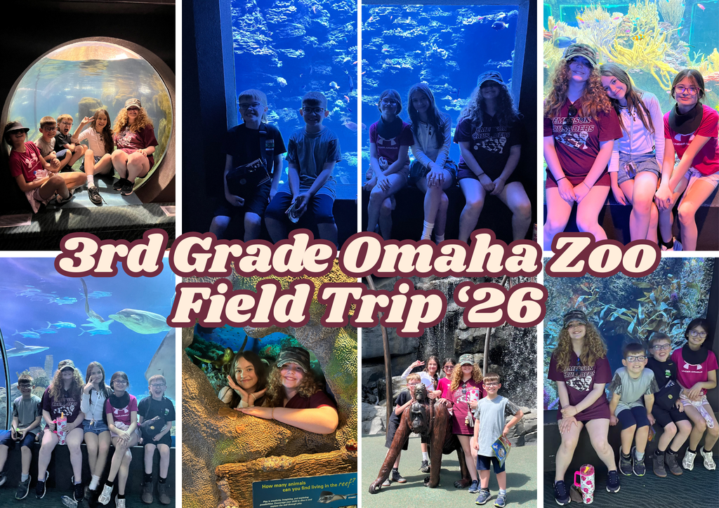 3rd grade zoo collage