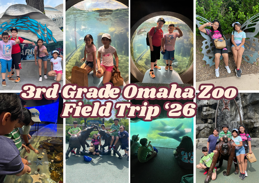 3rd grade zoo collage