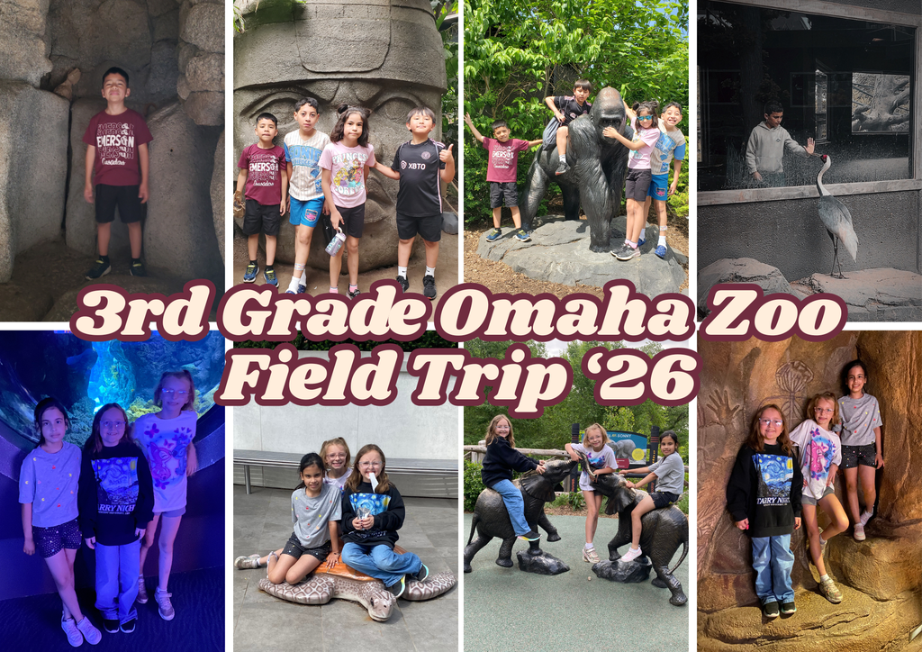 3rd grade zoo collage