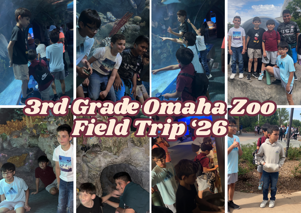 3rd grade zoo collage