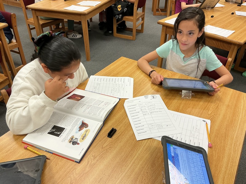 Students researching