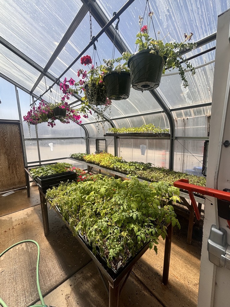 FFA Plants