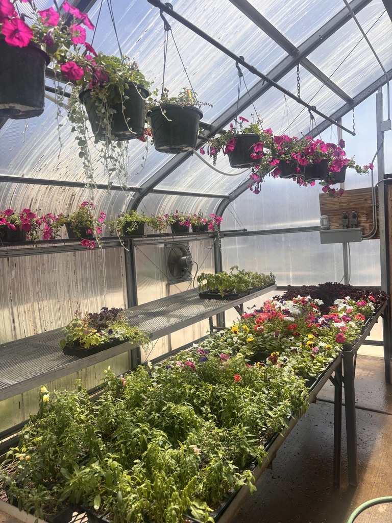 FFA Plants