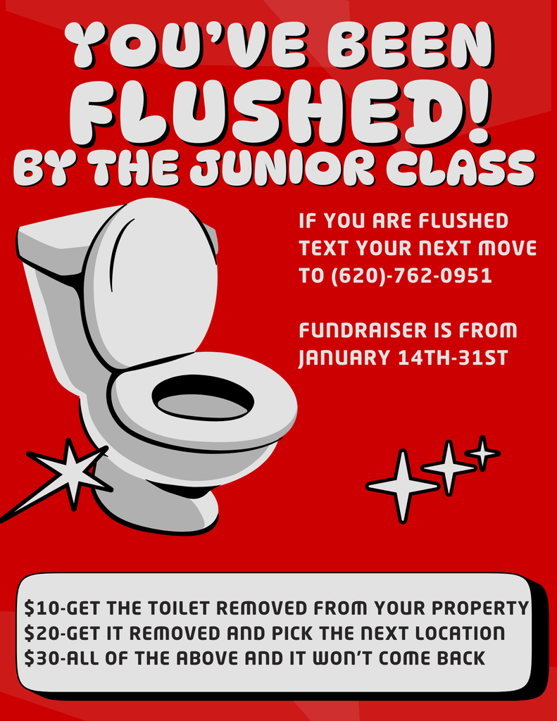 Black and White Creative Illustrative Keep Toilet Clean Flyer