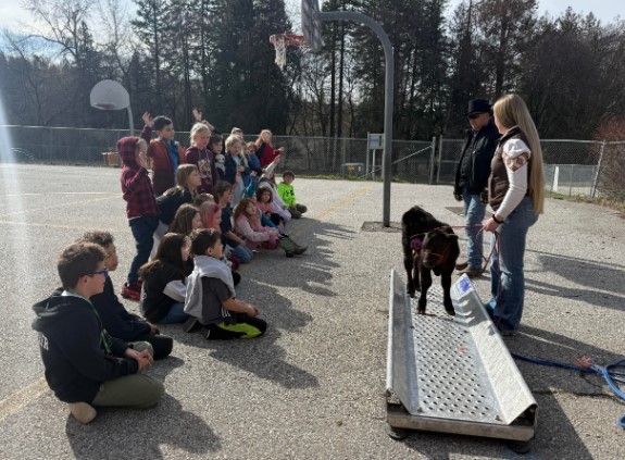 Hofstetter Happenings