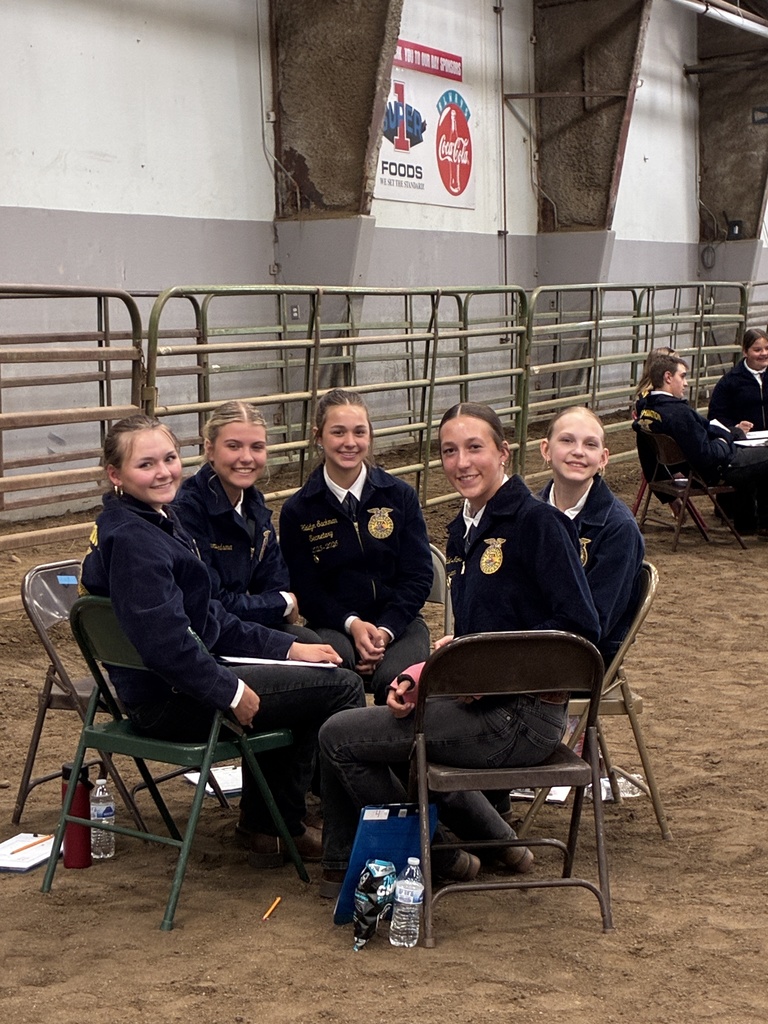 Horse Judging 2