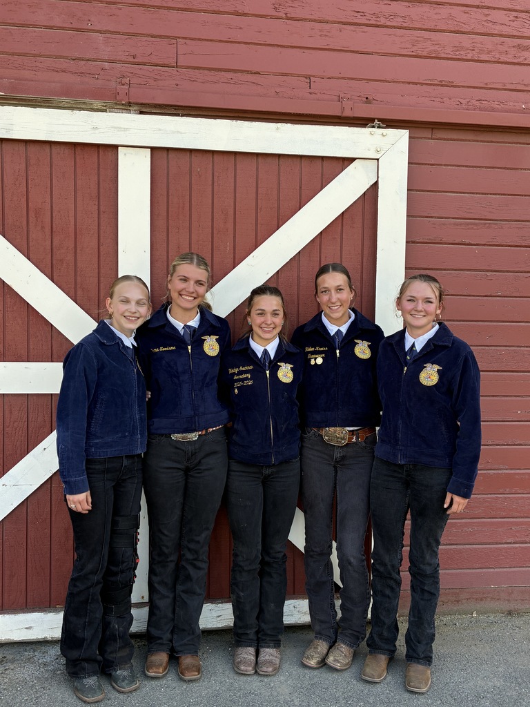 Horse Judging 1