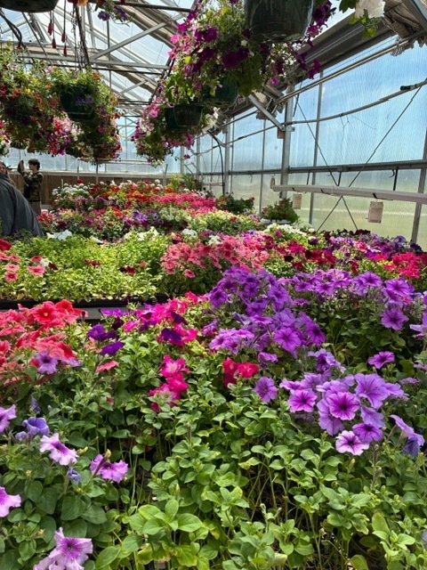 Greenhouse