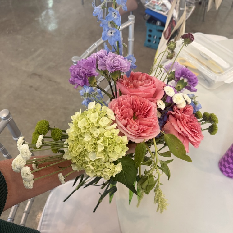 flower