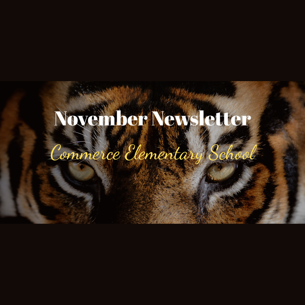 CES November Newsletter