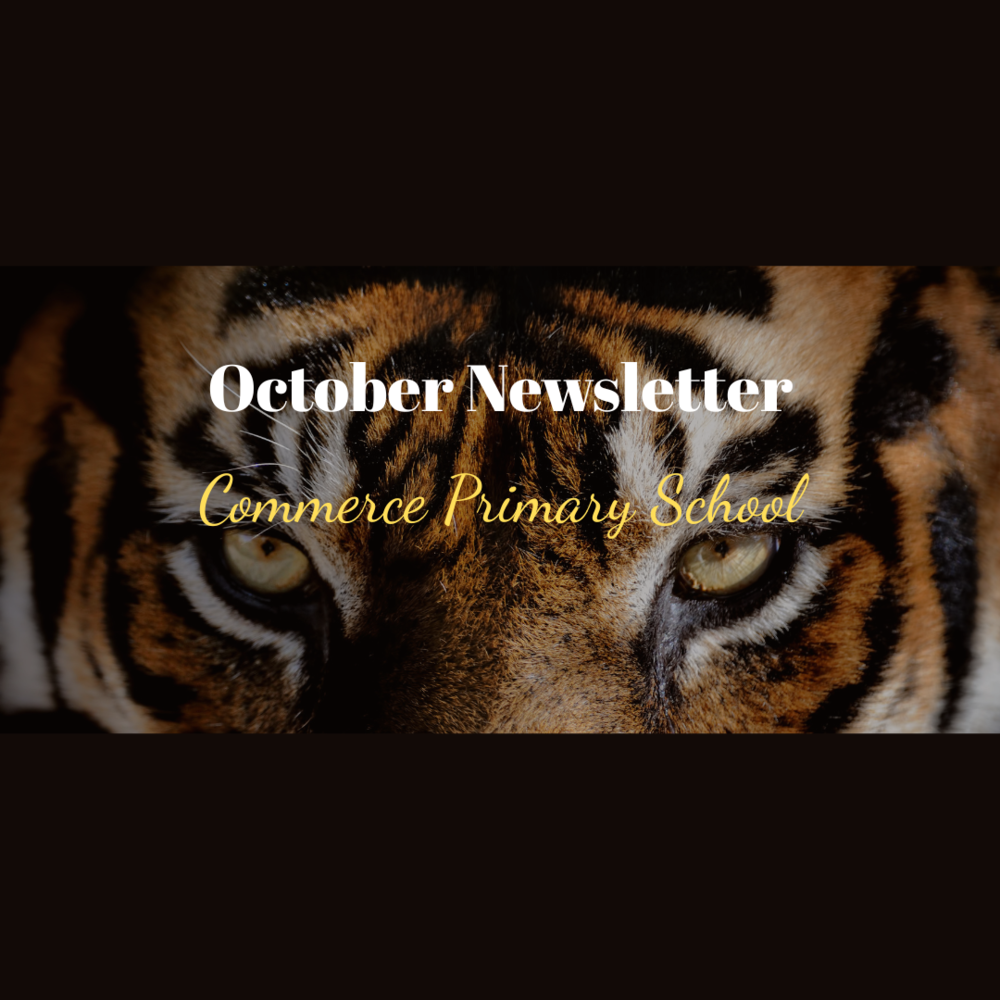 Oct Newsletter