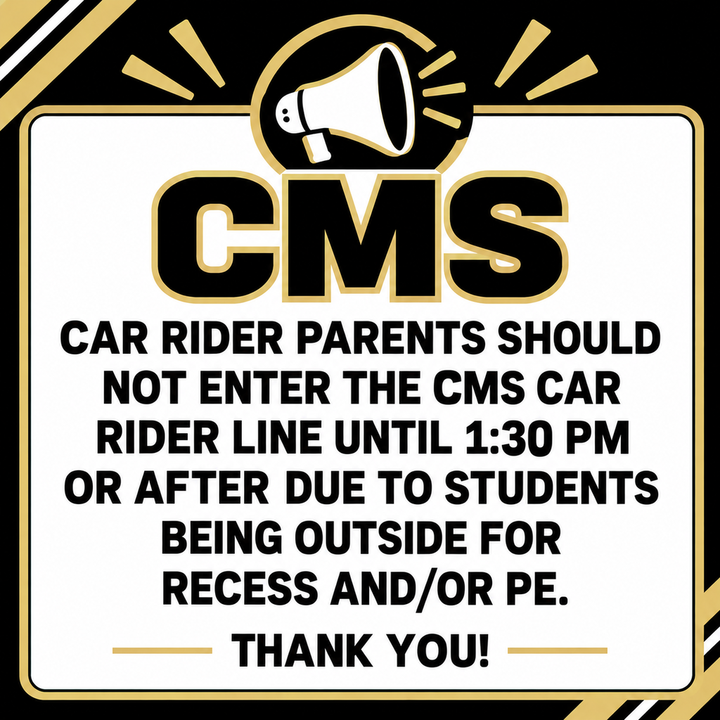 Car rider