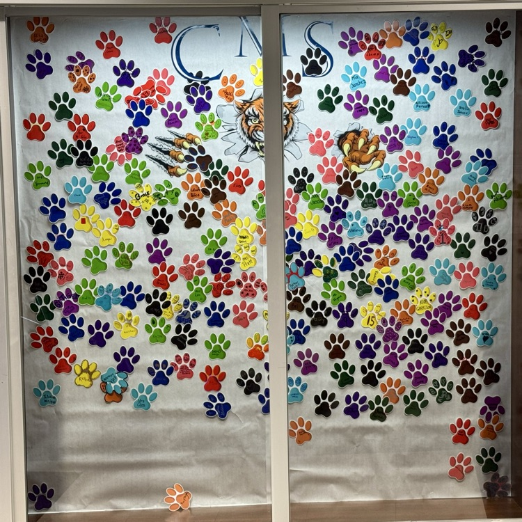 Tiger paws