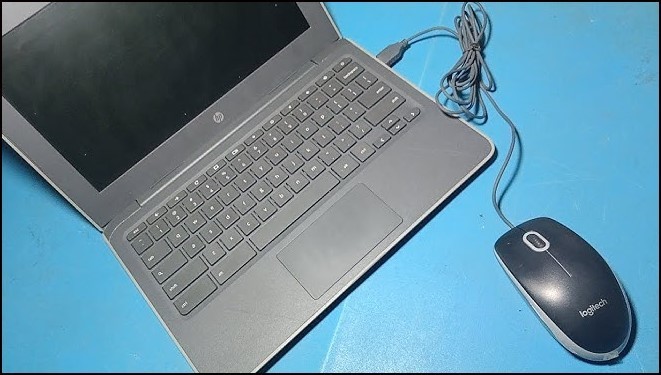 Chromebook and mouse