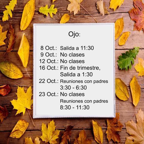 Fechas importantes