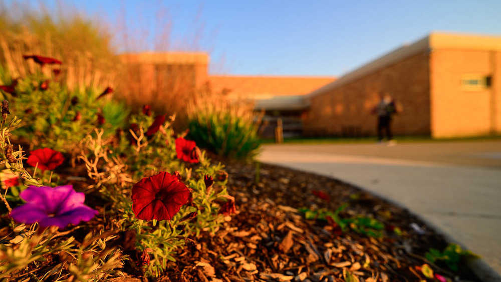 flowers at sunrise in front of ACHS