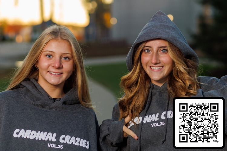 two gals gray hoodies