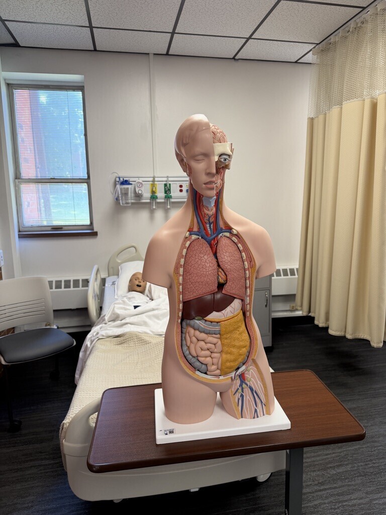 Future nurses in the making! Thanks to rootEd, students joined Mrs. Larson for an immersive nursing experience at Stephens College, where they checked vitals, used a stethoscope on high-tech patient simulators, and learned from real nursing students. A big thank you to Stephens College and Boone Health for hosting us!