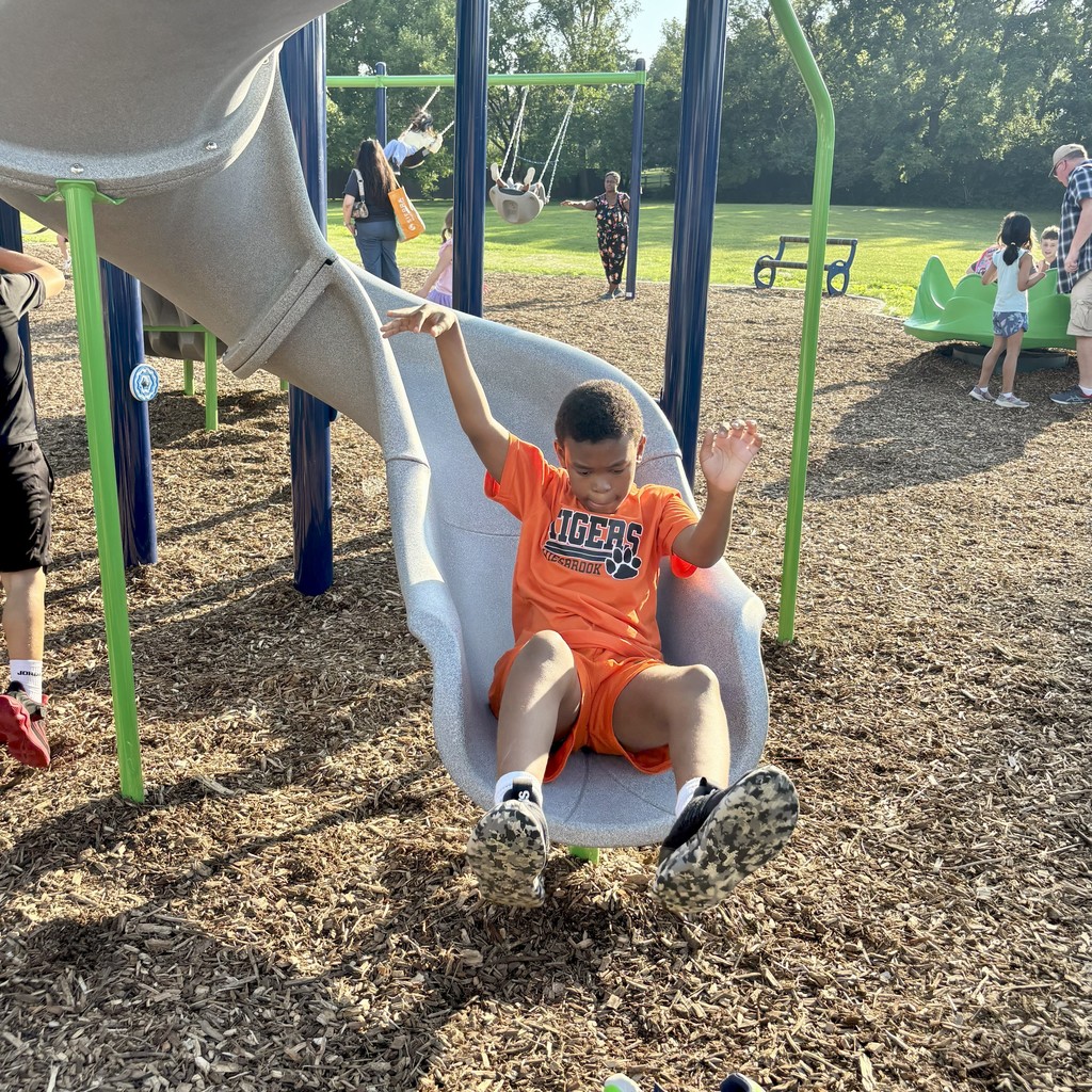 Boy sliding down slide