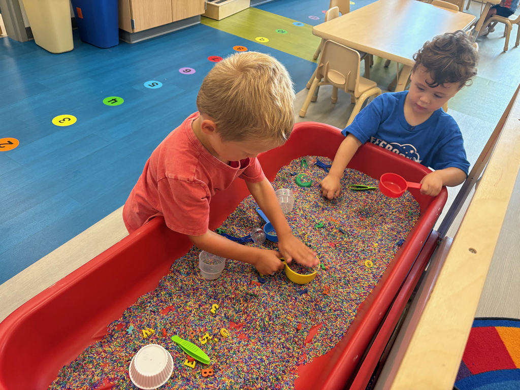 Fine Motor