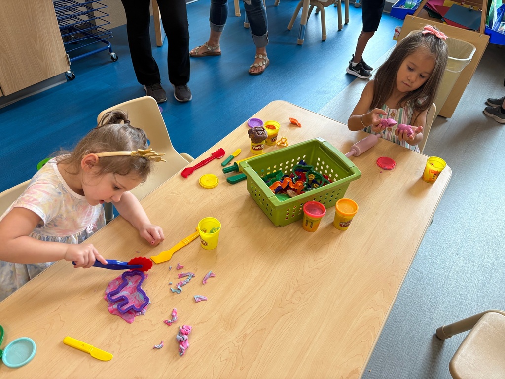 Fine Motor