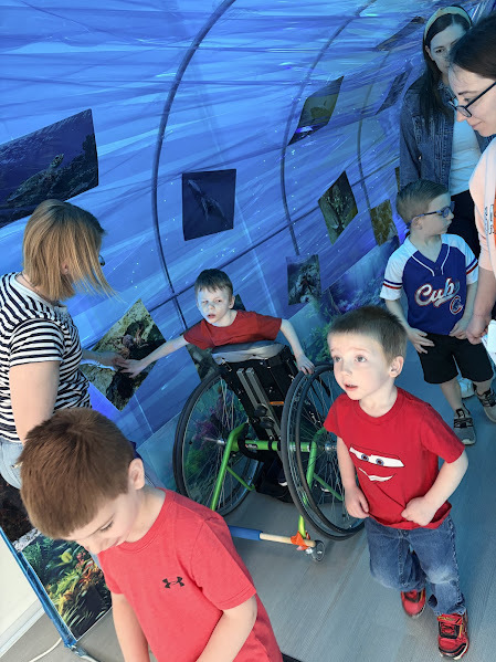 JECC Jellyfish Junction