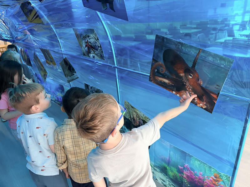 JECC Jellyfish Junction