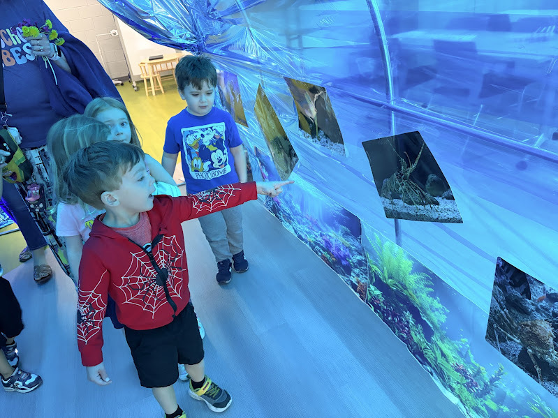 JECC Jellyfish Junction