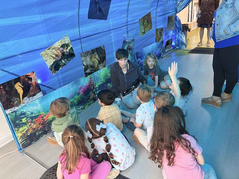 JECC Jellyfish Junction