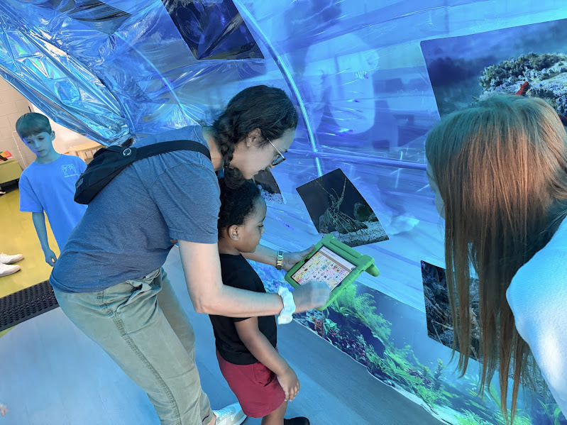 JECC Jellyfish Junction