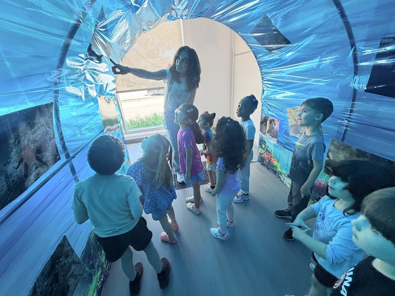 JECC Jellyfish Junction