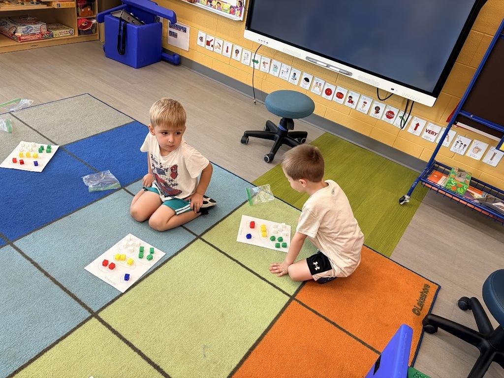 students engaged in learning