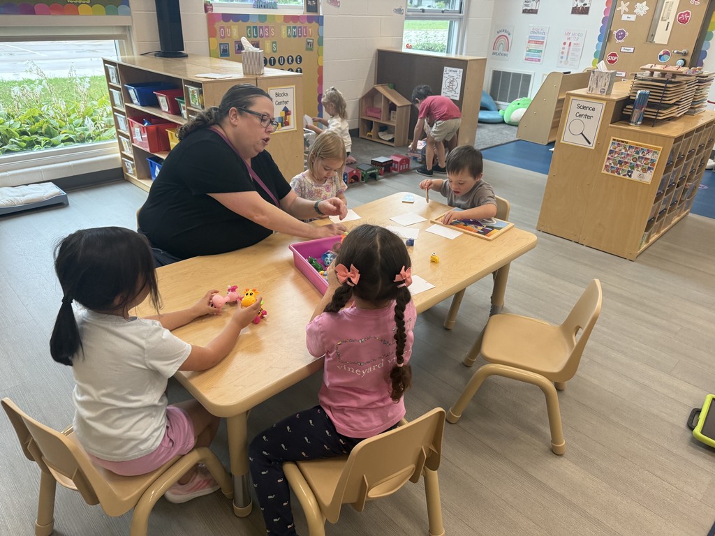 students engaged in learning