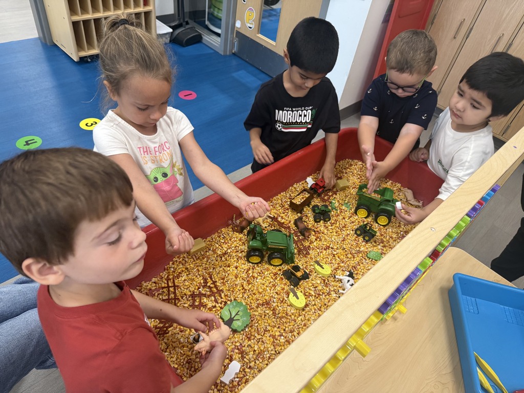 students engaged in learning