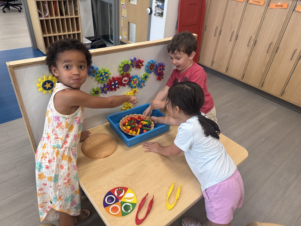 students engaged in learning