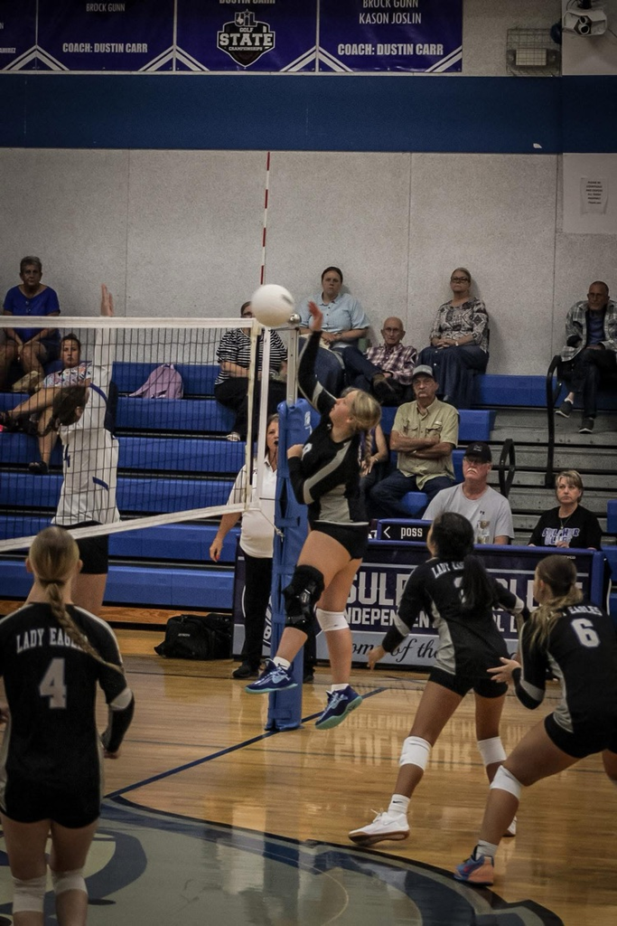 Volleyball