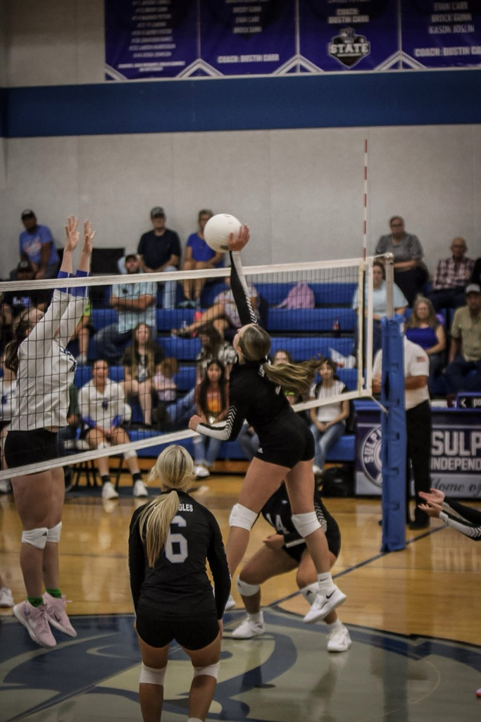 Volleyball