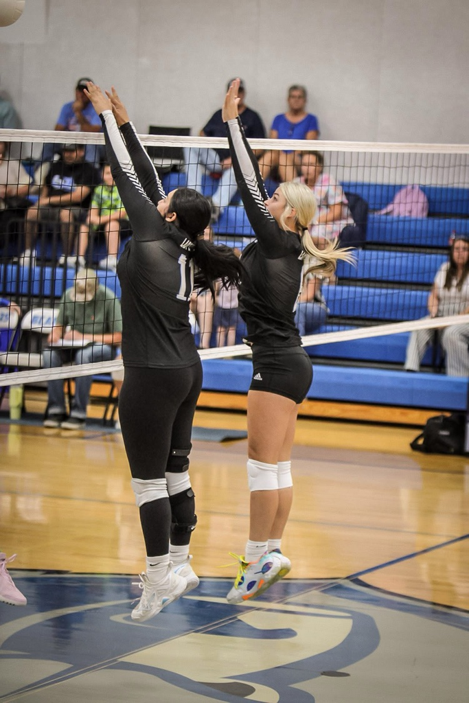 Volleyball