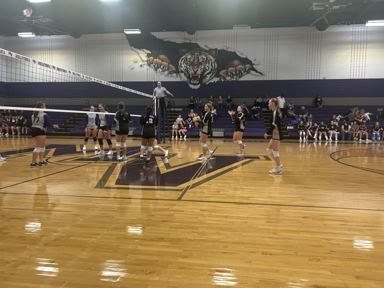 vb