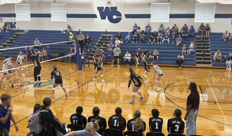 vb