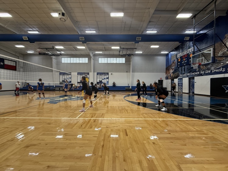 vb