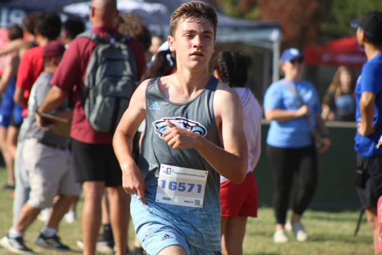 xcXC