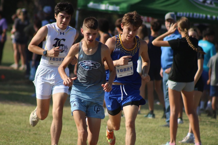 xcXC