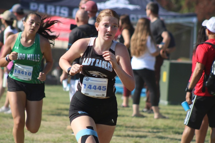 xcXC