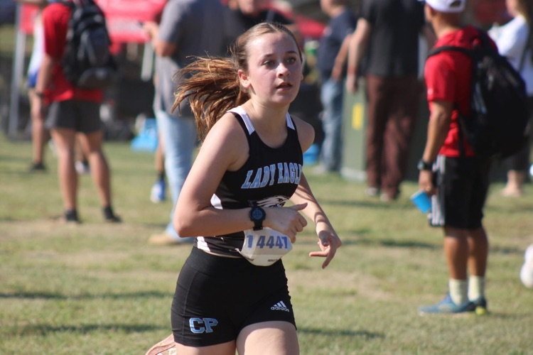 xcXC
