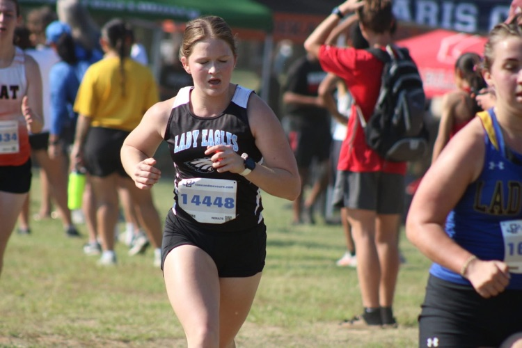xcXC